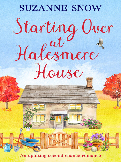 Title details for Starting Over at Halesmere House by Suzanne Snow - Wait list